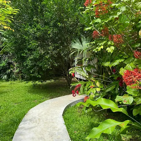 Passion Fruit Lodge Cahuita Exterior photo