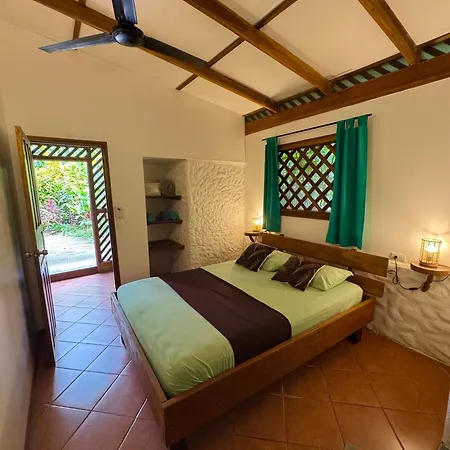Passion Fruit Lodge Cahuita Exterior photo