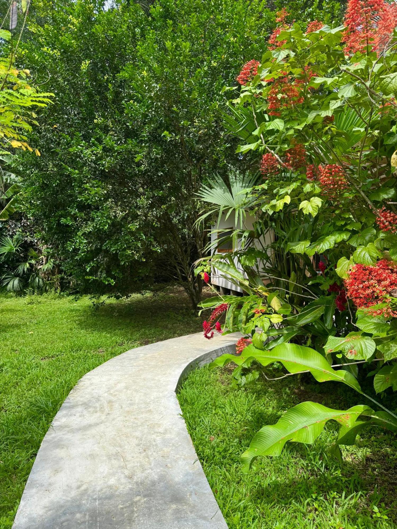 Passion Fruit Lodge Cahuita